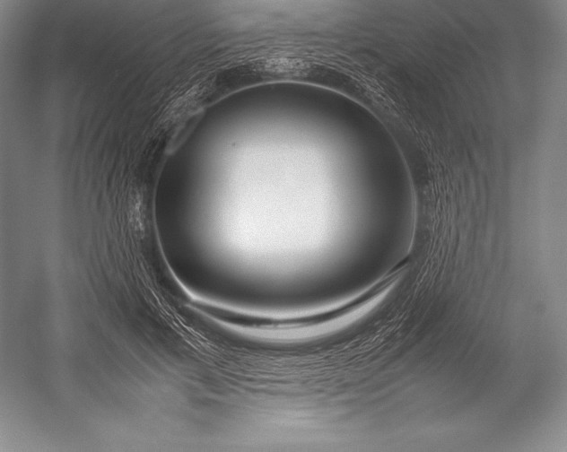 X0000052990597200507221223
