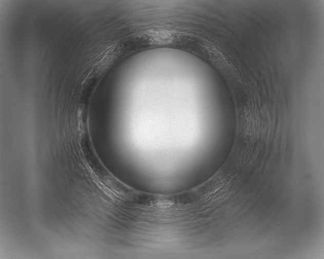 X0000052990598200507221223