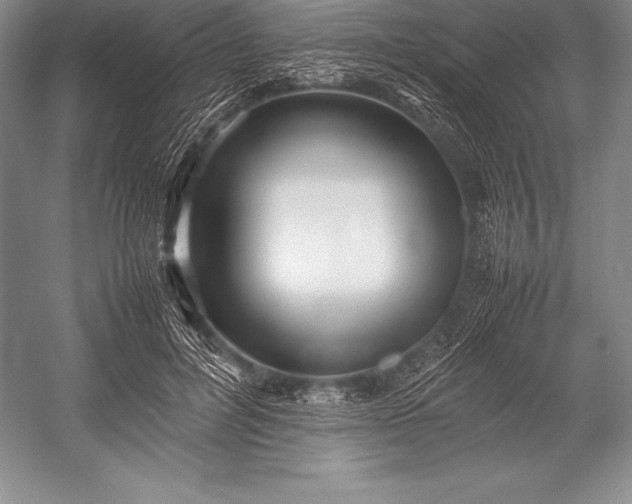 X0000052990600200507221223