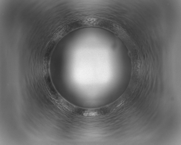X0000052990602200507221223