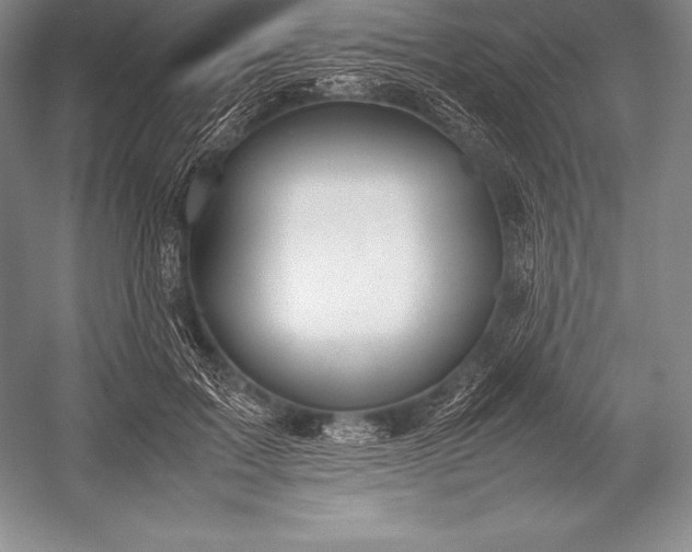 X0000052990603200507221223