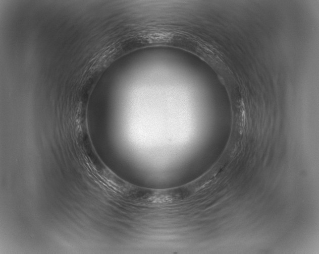 X0000052990604200507221222