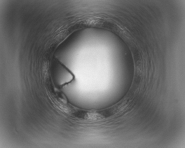X0000052990605200507221222