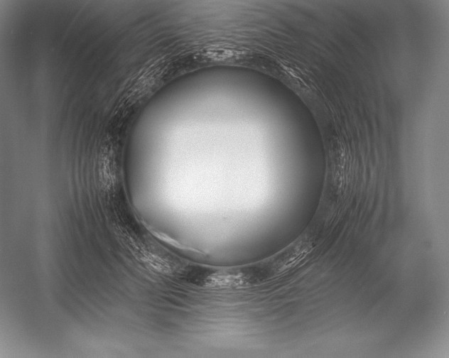 X0000052990606200507221222