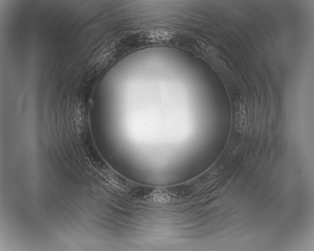 X0000052990608200507221222