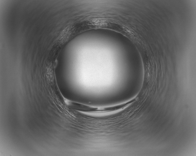 X0000052990609200507221222