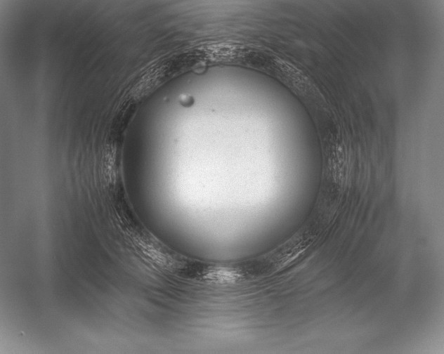 X0000052990610200507221222