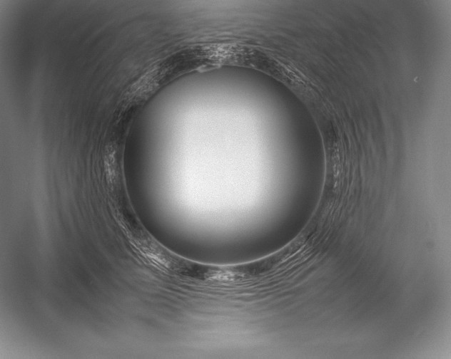 X0000052990611200507221222