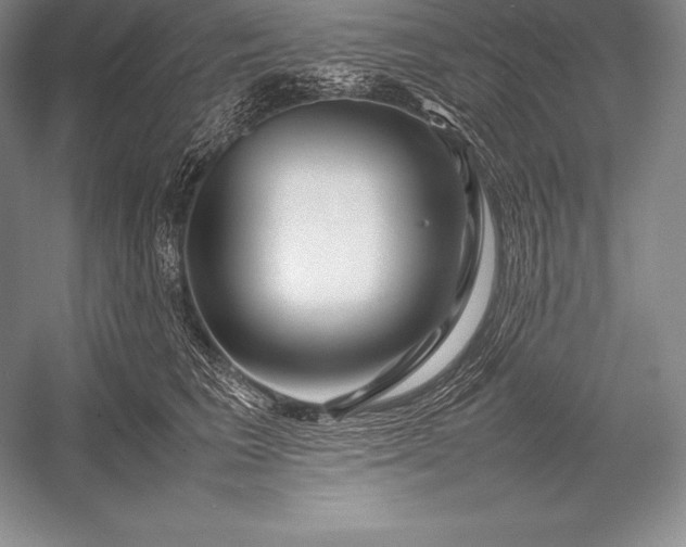 X0000052990613200507221222