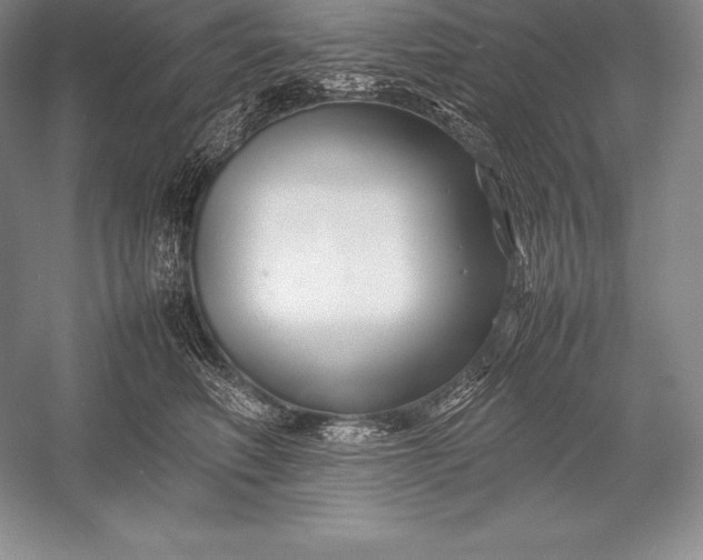 X0000052990614200507221222