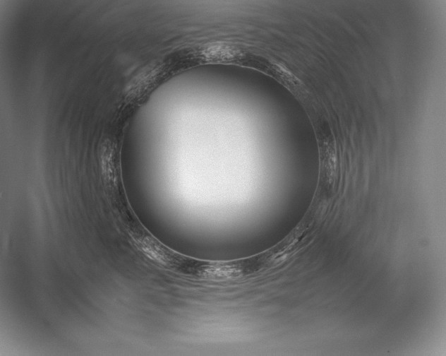 X0000052990619200507221222