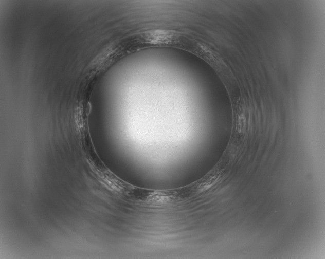 X0000052990620200507221222