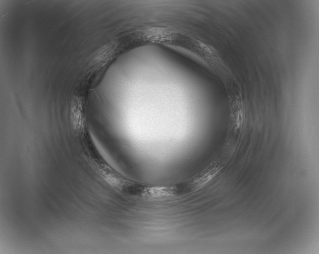 X0000052990622200507221222