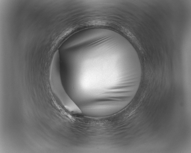 X0000052990625200507221221