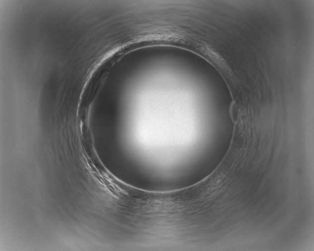 X0000052990628200507221221