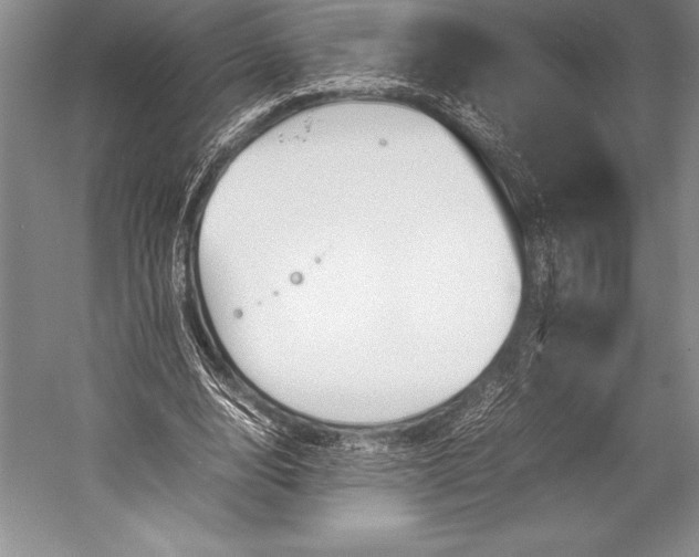 X0000052990632200507221221