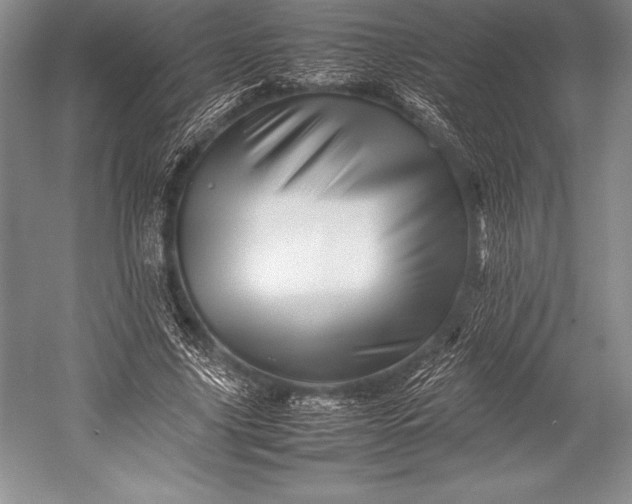 X0000052990635200507221221