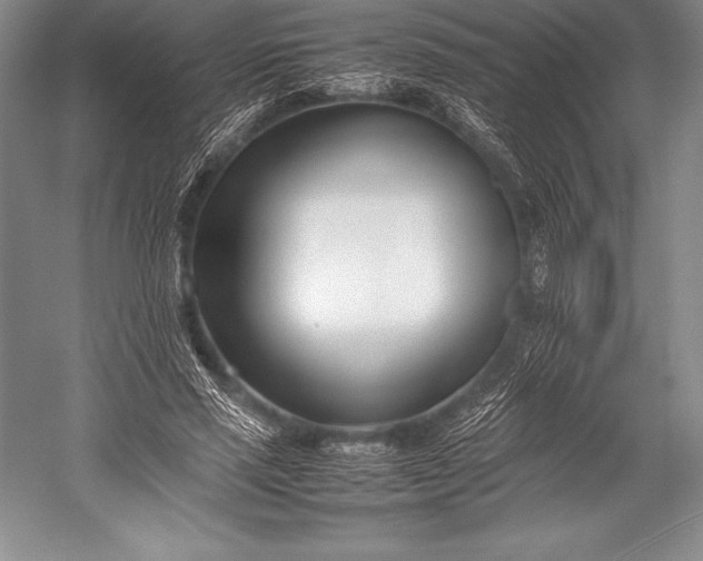 X0000052990637200507221222