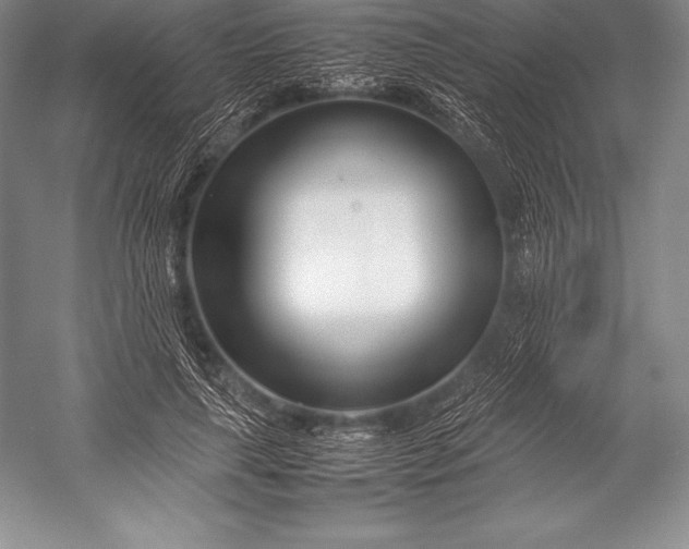 X0000052990643200507221222