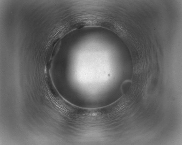 X0000052990646200507221222