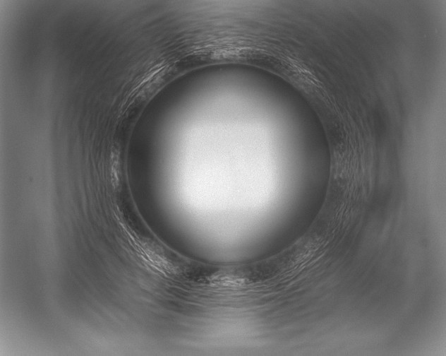 X0000052990648200507221222