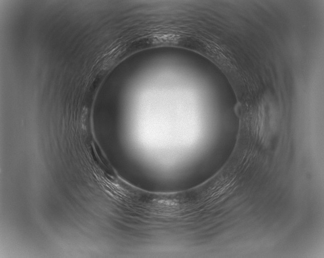 X0000052990649200507221222