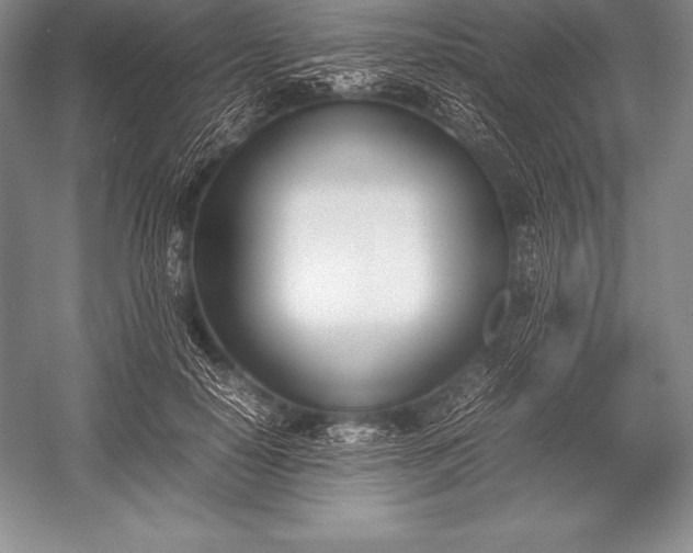 X0000052990650200507221222