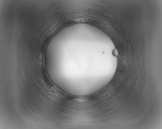 X0000052990652200507221222