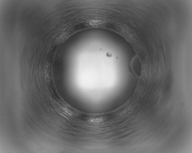 X0000052990653200507221222