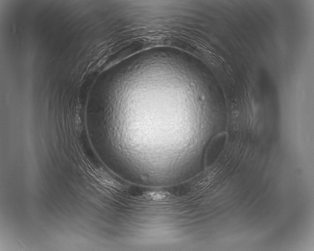 X0000052990654200507221222