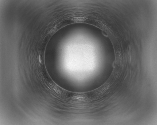 X0000052990655200507221222