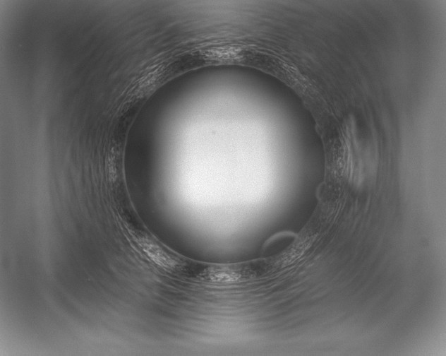 X0000052990658200507221222