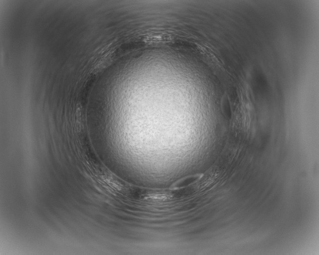 X0000052990659200507221222