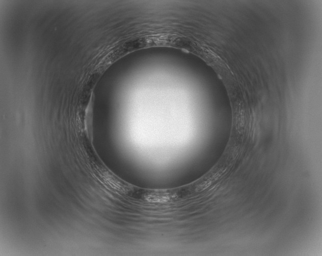 X0000052990661200507221222