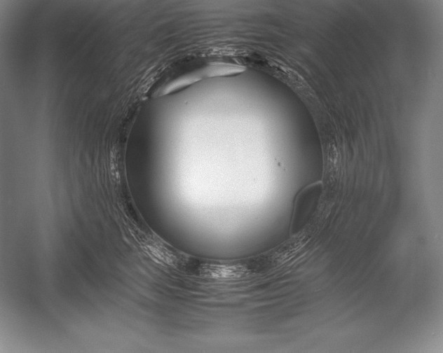X0000052990663200507221222