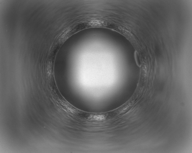 X0000052990665200507221222