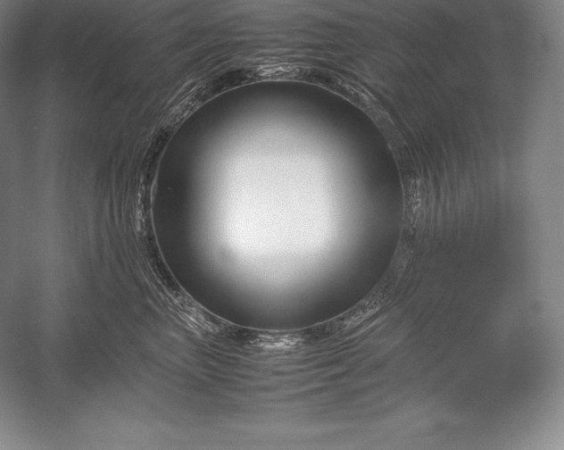 X0000052990667200507221222