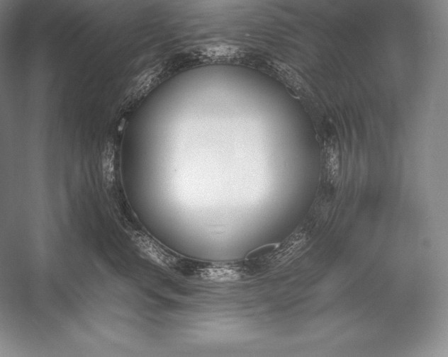 X0000052990668200507221222