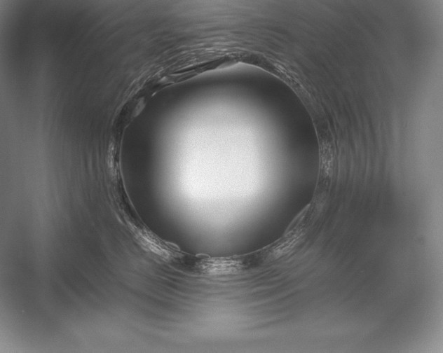 X0000052990670200507221222
