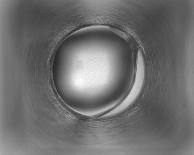 X0000052990673200507221221