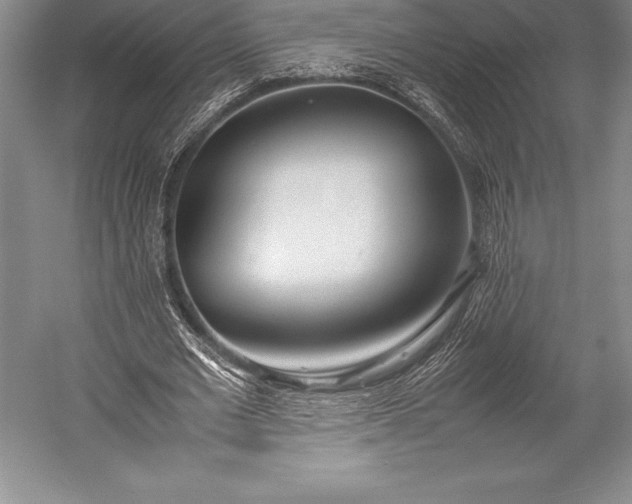 X0000052990677200507221221
