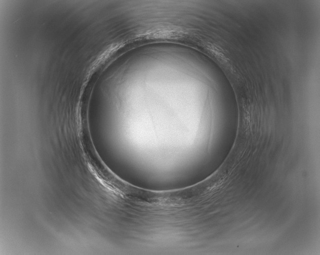 X0000052990678200507221221