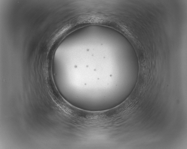 X0000052990679200507221221