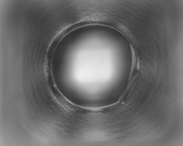 X0000052990680200507221221