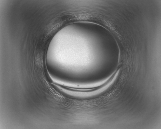 X0000052990681200507221221