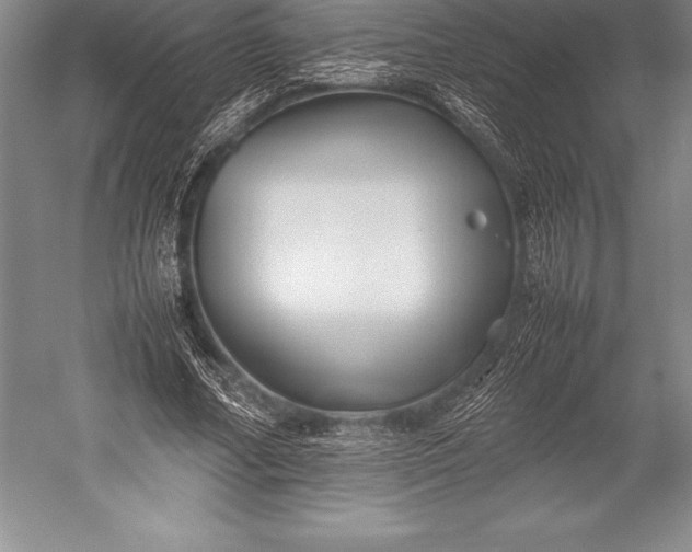 X0000052990682200507221221