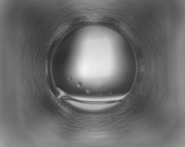 X0000052990685200507221221