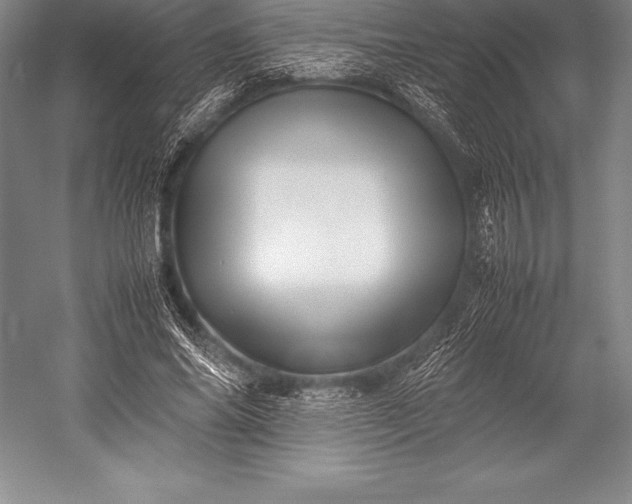 X0000052990686200507221221