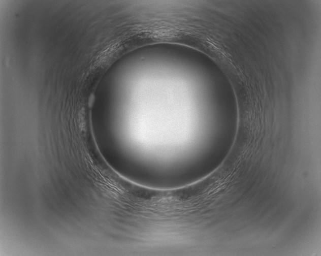 X0000052990689200507221221