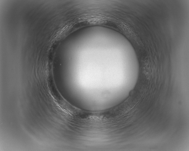 X0000052990690200507221221